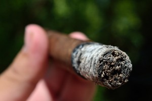 Cigar Ash