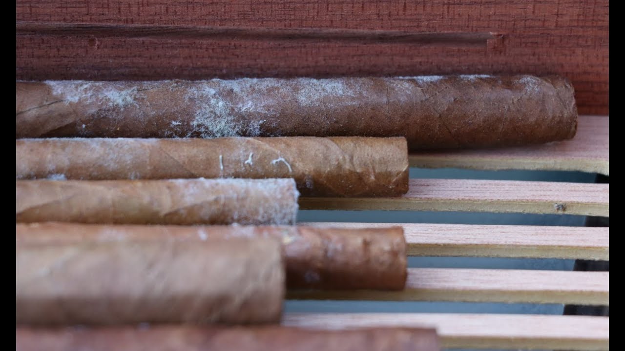 What are white spots on cigars? - The Cigar Store
